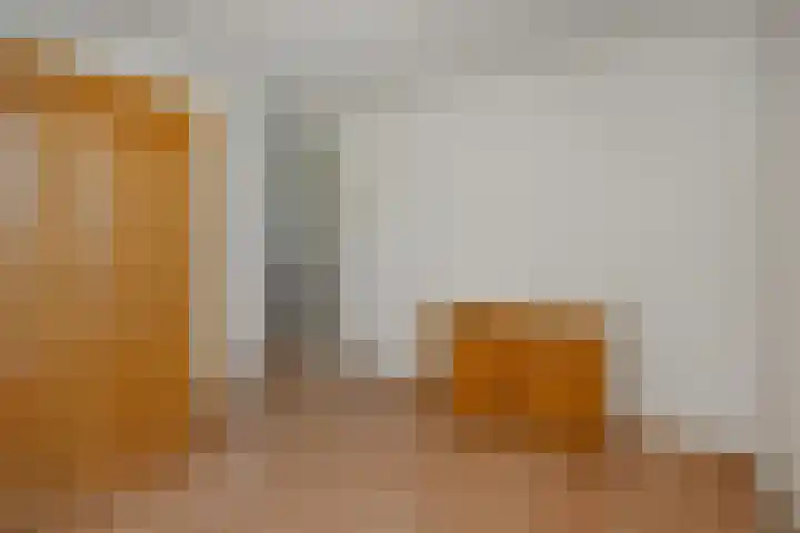 Hazenpad 4 Neerkant thumbnail 23