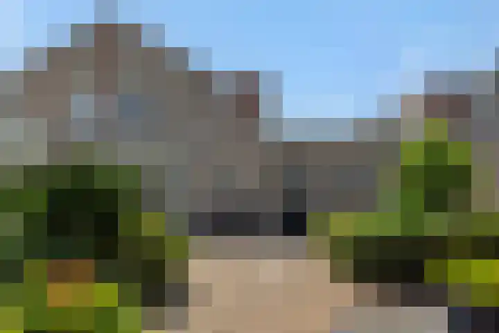 Hazenpad 4 Neerkant thumbnail 26