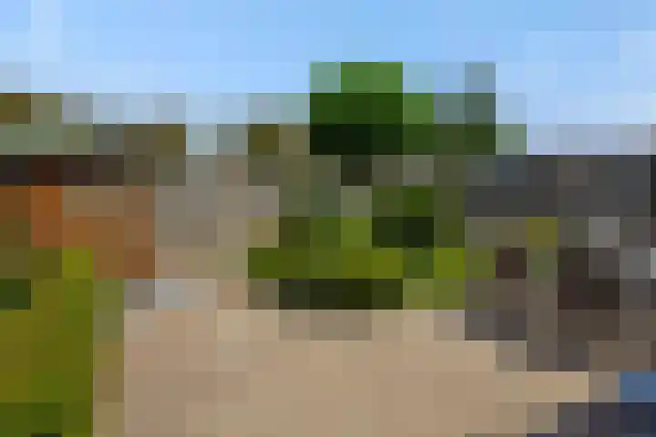 Hazenpad 4 Neerkant thumbnail 28