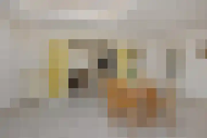 Hazenpad 4 Neerkant foto 3