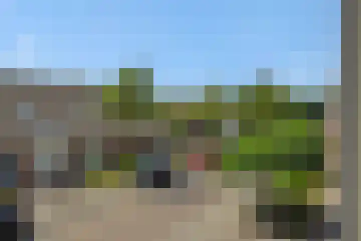 Hazenpad 4 Neerkant thumbnail 31