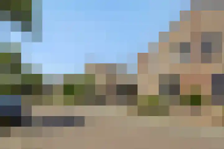 Hazenpad 4 Neerkant thumbnail 32