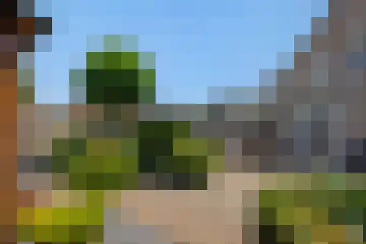 Hazenpad 4 Neerkant thumbnail 5