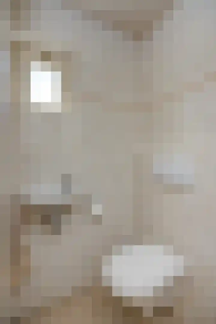 Hazenpad 4 Neerkant thumbnail 9