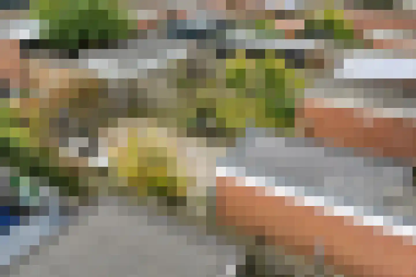 Hazepad 11 Nieuw-Amsterdam thumbnail 35