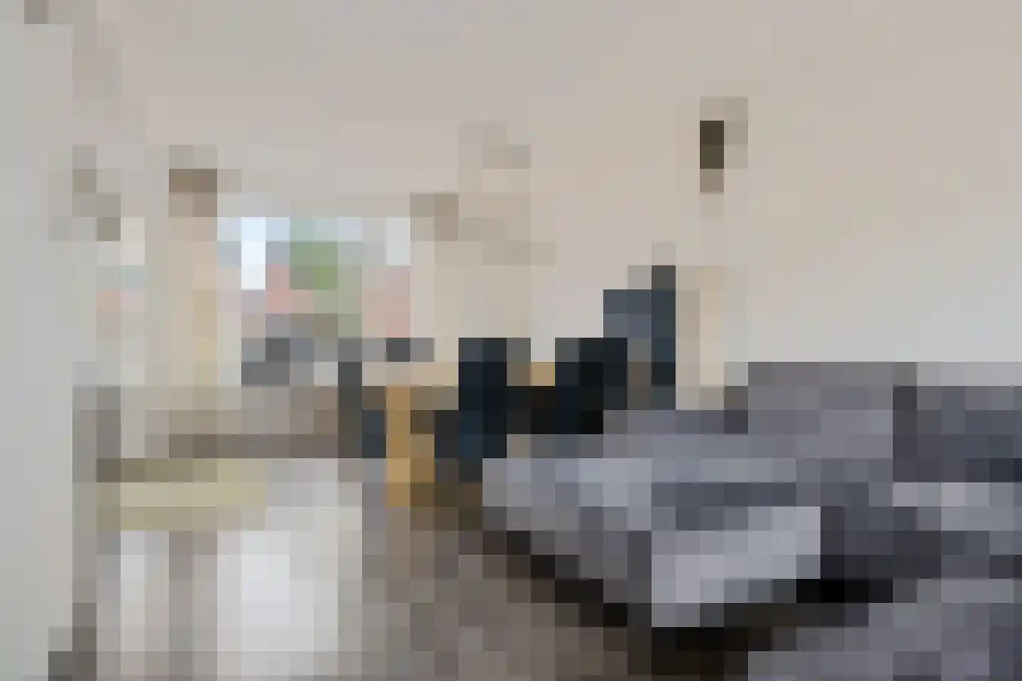Hazepad 11 Nieuw-Amsterdam thumbnail 9