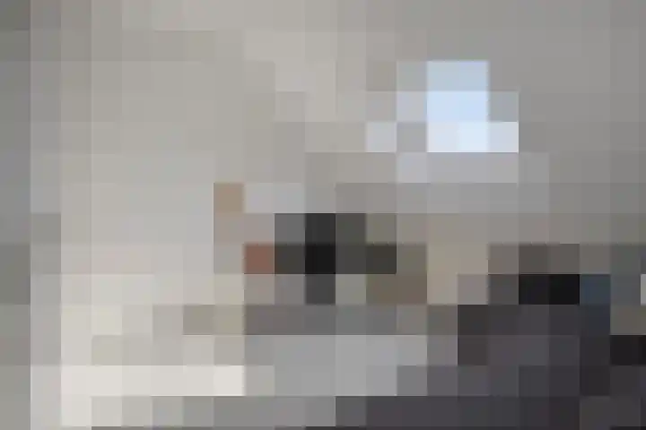 Hazepad 259 Soest thumbnail 18