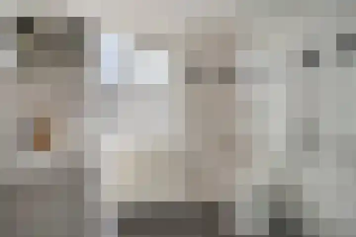 Hazepad 259 Soest thumbnail 20