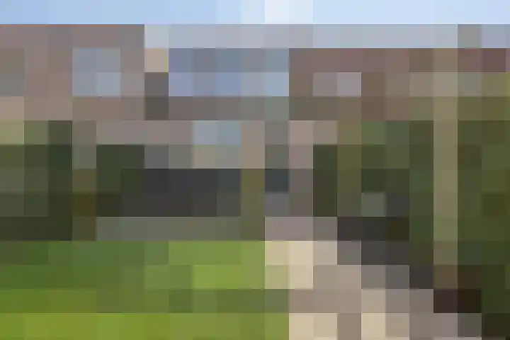 Hazepad 259 Soest thumbnail 26