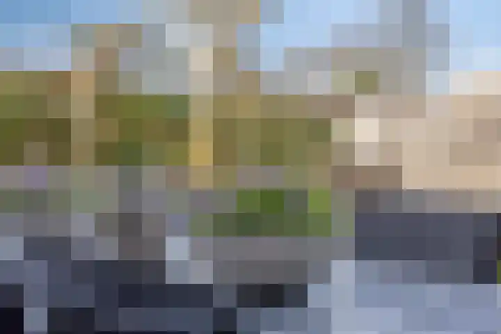 Hazepad 259 Soest thumbnail 29