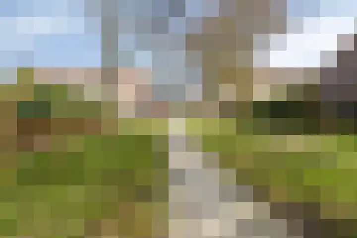 Hazepad 259 Soest thumbnail 30