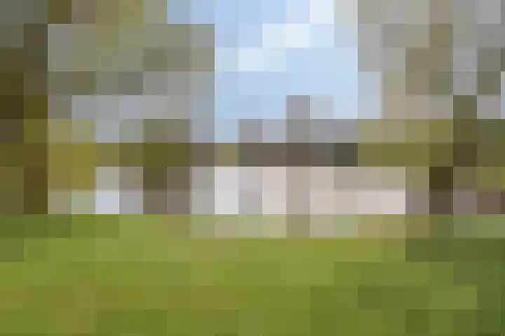 Hazepad 259 Soest thumbnail 31