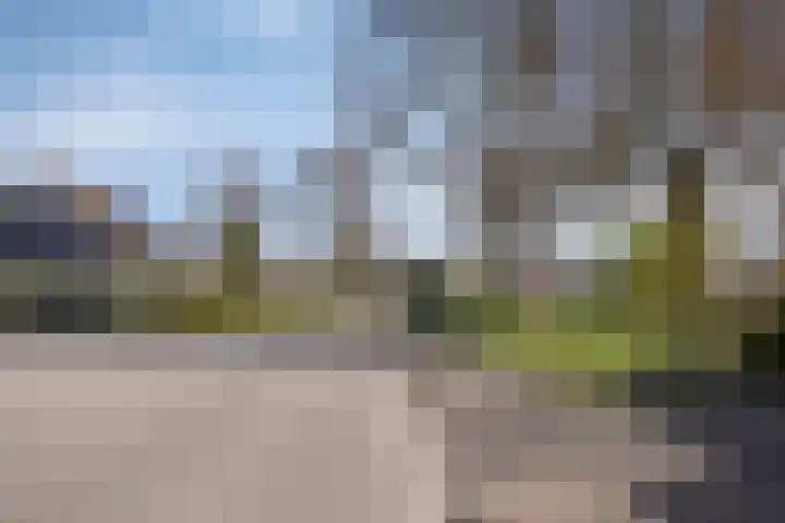 Hazepad 259 Soest thumbnail 33