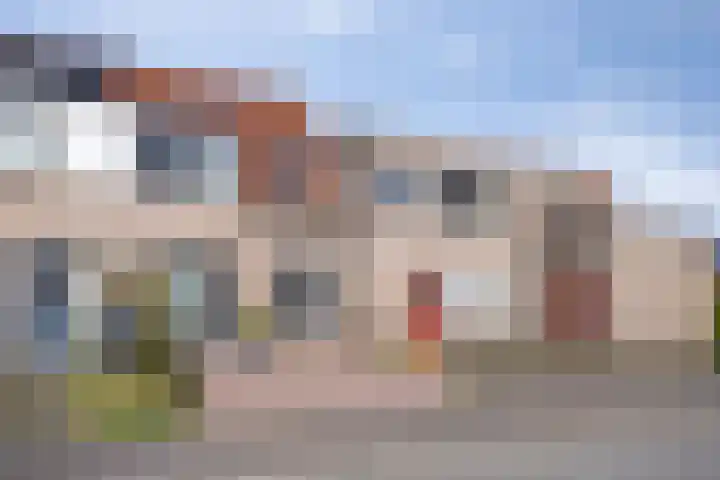 Hazepad 259 Soest thumbnail 35