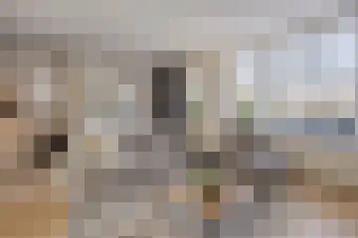 Hazepad 259 Soest thumbnail 5