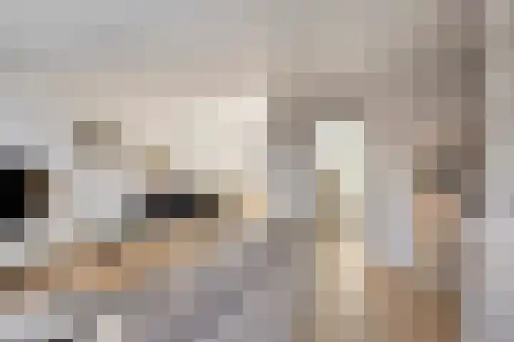 Hazepad 259 Soest thumbnail 6