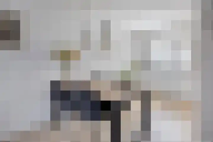 Hazepad 259 Soest thumbnail 7