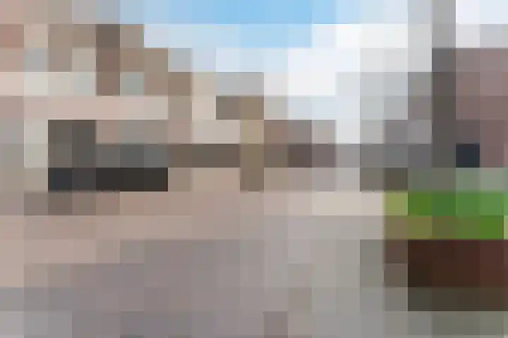 Hazepad 51 Zaandam thumbnail 19