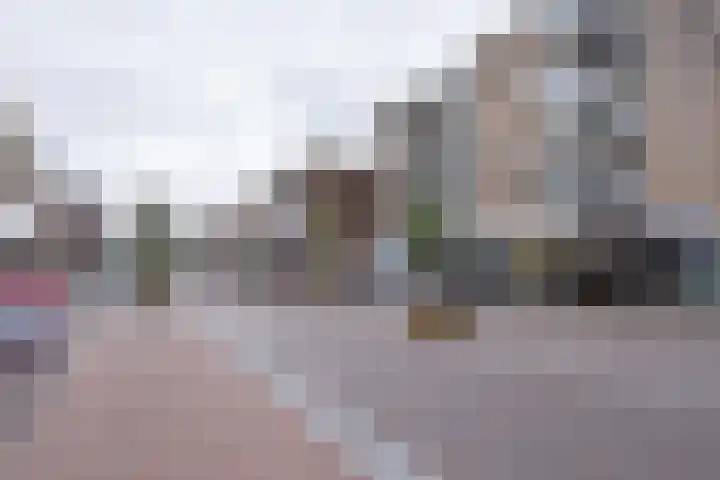 Hazepad 51 Zaandam thumbnail 21