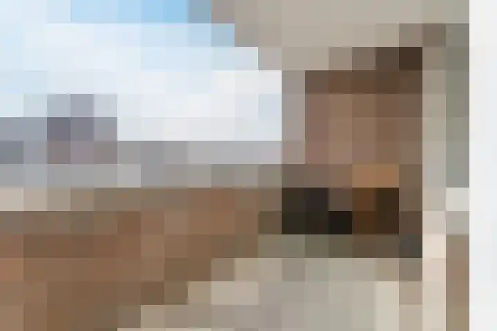 Hazepad 51 Zaandam thumbnail 4