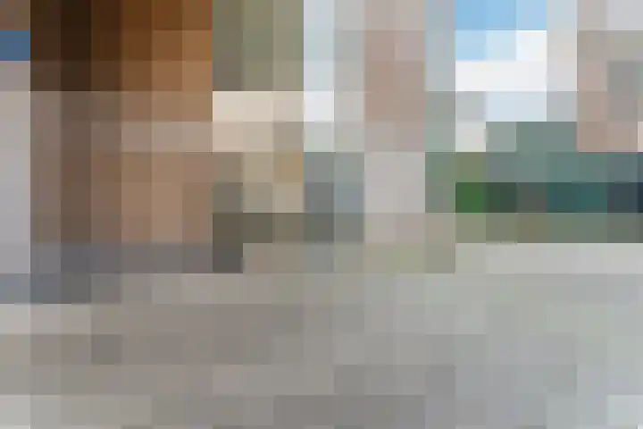 Hazepad 51 Zaandam thumbnail 6