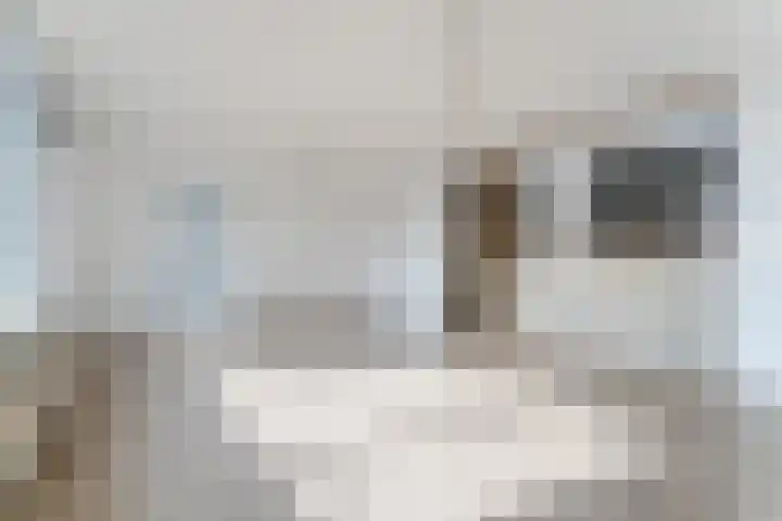 Hazepad 51 Zaandam thumbnail 8