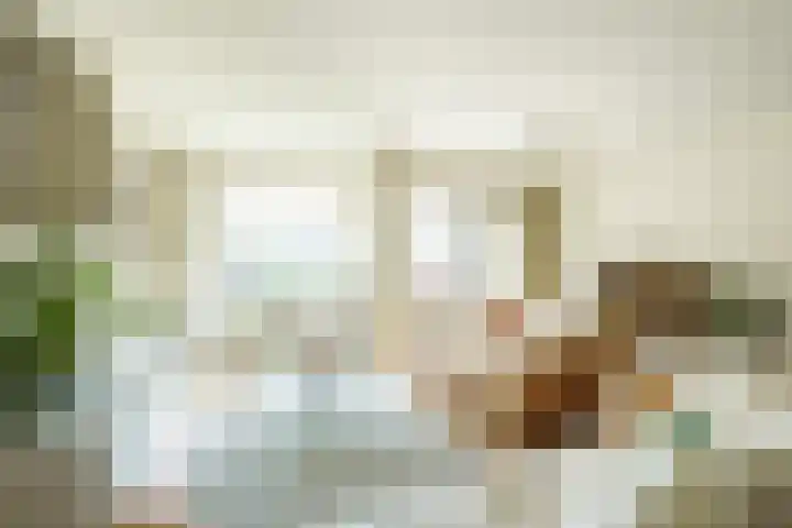 Hazepaterslaan 150 Haarlem thumbnail 10