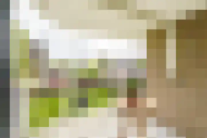 Hazepaterslaan 150 Haarlem thumbnail 12