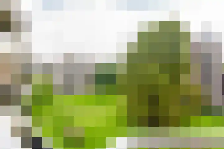Hazepaterslaan 150 Haarlem thumbnail 14