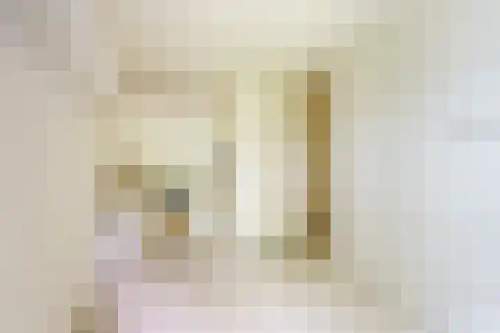 Hazepaterslaan 150 Haarlem thumbnail 22