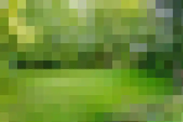 Hazepaterslaan 150 Haarlem thumbnail 27