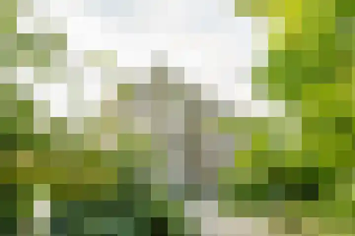 Hazepaterslaan 150 Haarlem thumbnail 6