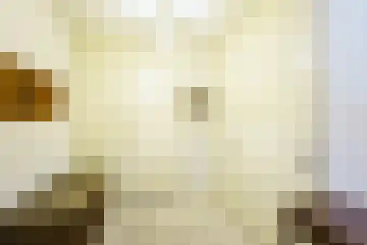 Hazepaterslaan 150 Haarlem thumbnail 8