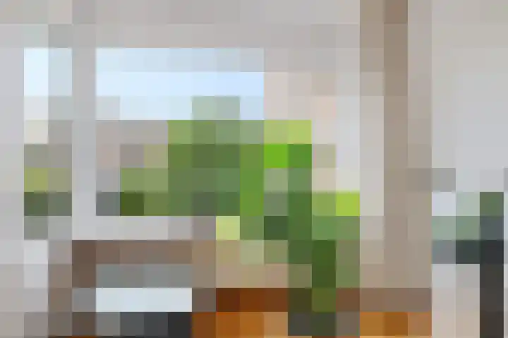 Hazepaterslaan 256 Haarlem thumbnail 14