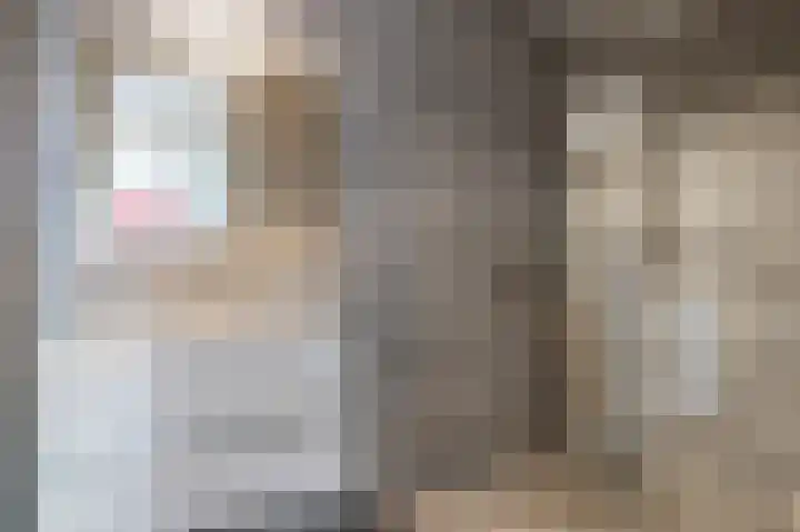 Hazepaterslaan 256 Haarlem thumbnail 21
