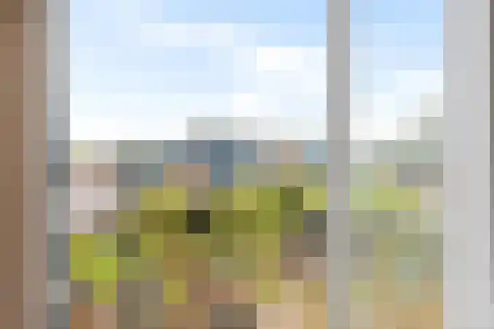Hazepaterslaan 256 Haarlem thumbnail 30