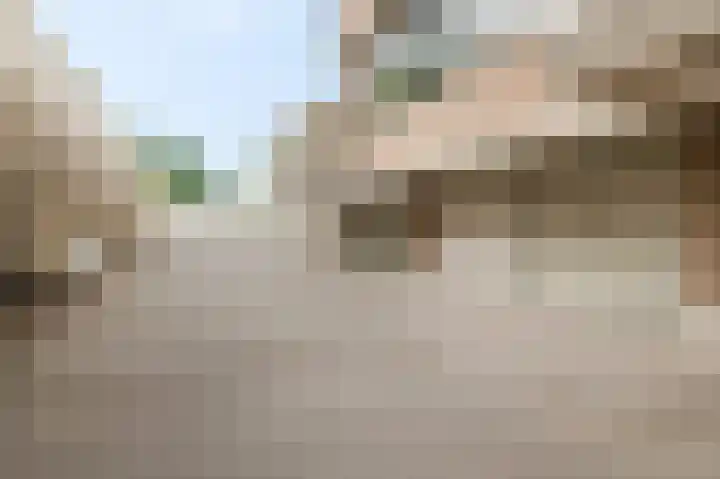 Hazepaterslaan 256 Haarlem thumbnail 38
