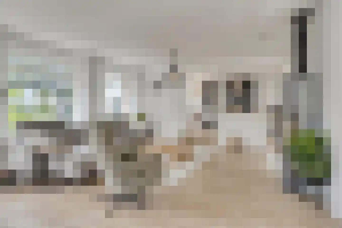 Hazershil 9 Steenbergen thumbnail 12