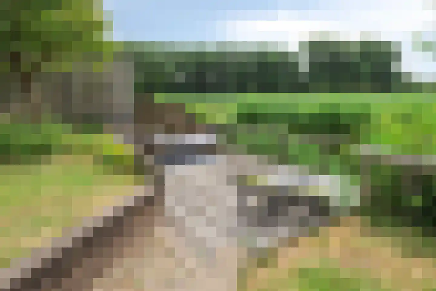 Hazershil 9 Steenbergen thumbnail 70