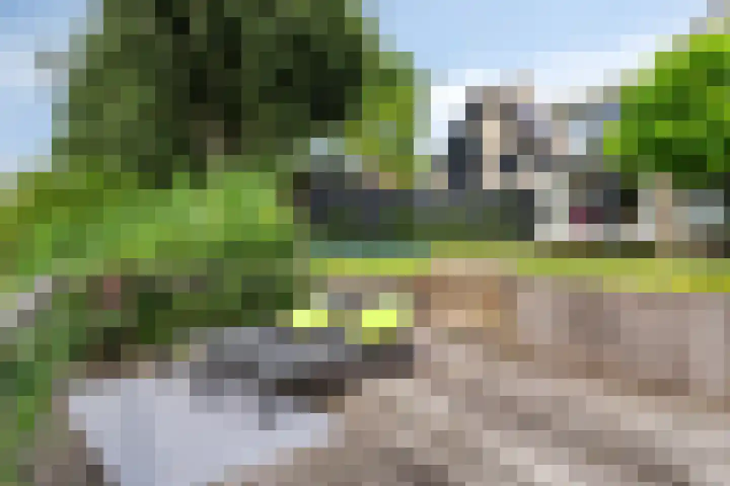 Hazershil 9 Steenbergen thumbnail 71