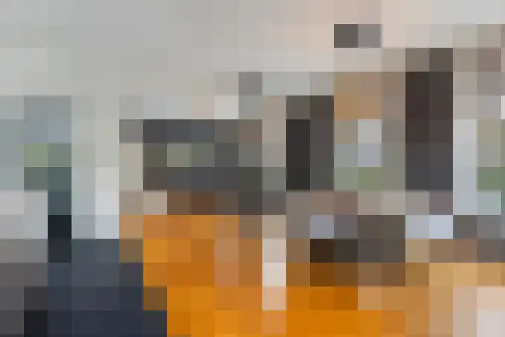 Hearewei 4 Dronryp thumbnail 14