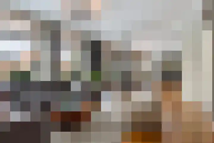 Hearewei 4 Dronryp foto 2
