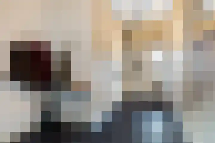 Hearewei 4 Dronryp thumbnail 21