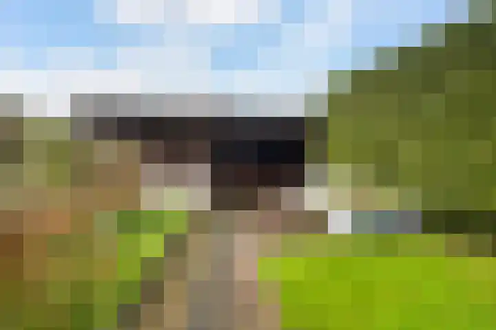 Hearewei 4 Dronryp thumbnail 24