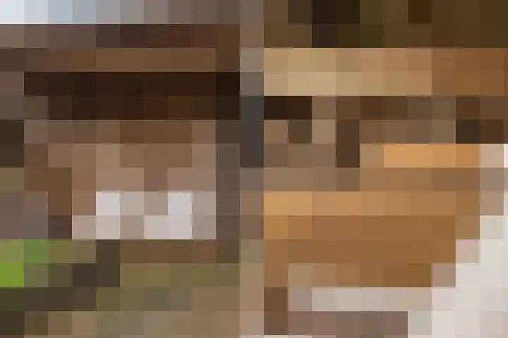 Hearewei 4 Dronryp thumbnail 25