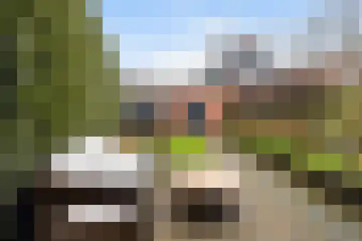 Hearewei 4 Dronryp thumbnail 26