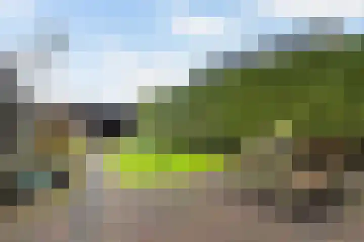 Hearewei 4 Dronryp thumbnail 4