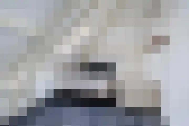 Hearewei 4 Dronryp thumbnail 40