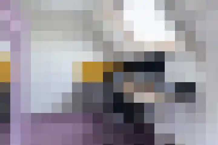Hearewei 4 Dronryp thumbnail 43