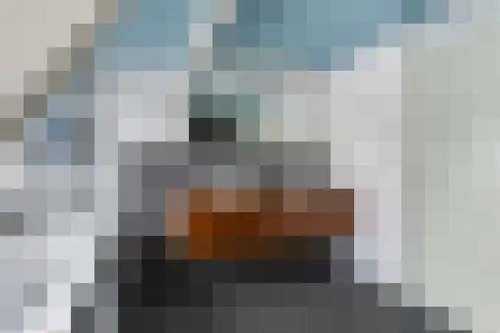 Hearewei 4 Dronryp thumbnail 46